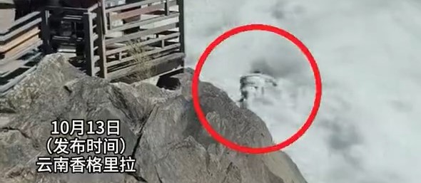 閉路電視拍下男子跳台的一刻。澎湃新聞 閉路電視拍下男子跳台的一刻。澎湃新聞