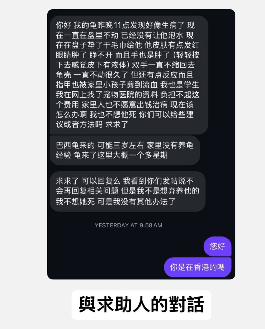 義工上載與求助人對話的截圖所見，全以簡體字書寫。「Turtle Advocacy Hong Kong 棄龜庇護所」Instagram圖片