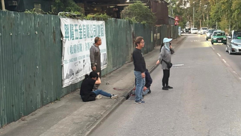 打鼓嶺坪輋路男途人捱貨車撞 頭傷浴血送院 司機蹤杳。FB：Chileung Mo @全港違例抄牌提示區 