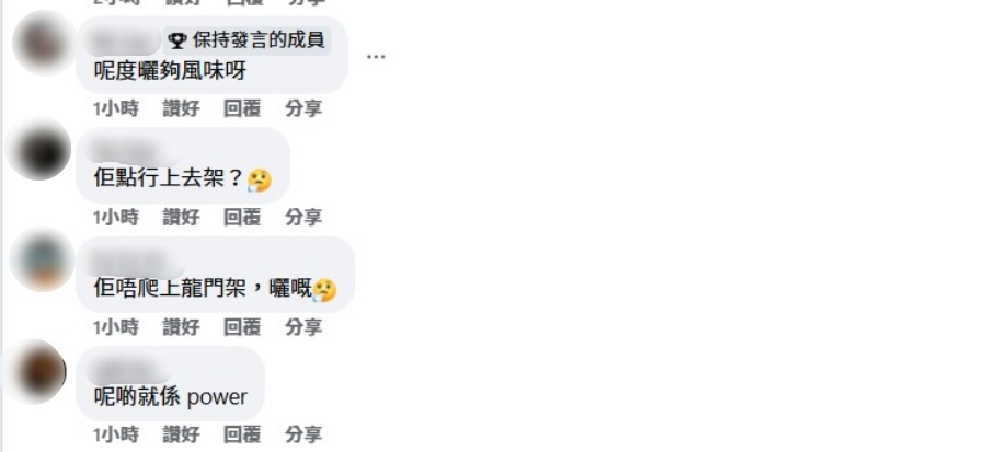 有人質疑究竟該名婦人如何行上公路。