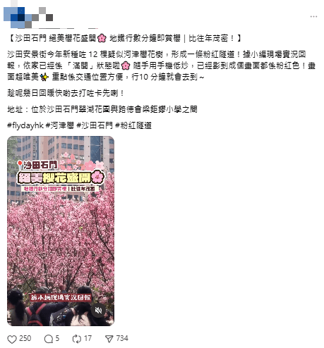 網民形容為「粉紅隧道」。threads@flyday.hk