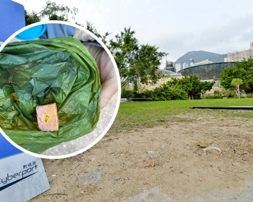 數碼港海濱公園發現有毒餌(小圖，Hong Kong Dog Rescue HKDR)，愛協懸賞金額增至42.2萬元。資料圖片