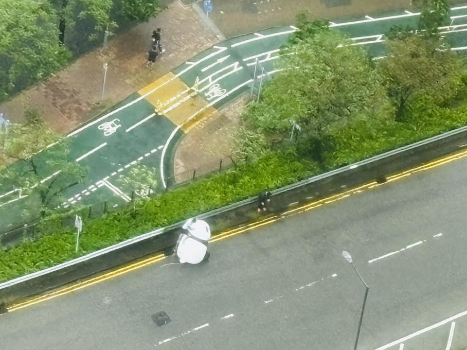 大風大雨下熊貓「避風頭」。fb「將軍澳主場」截圖