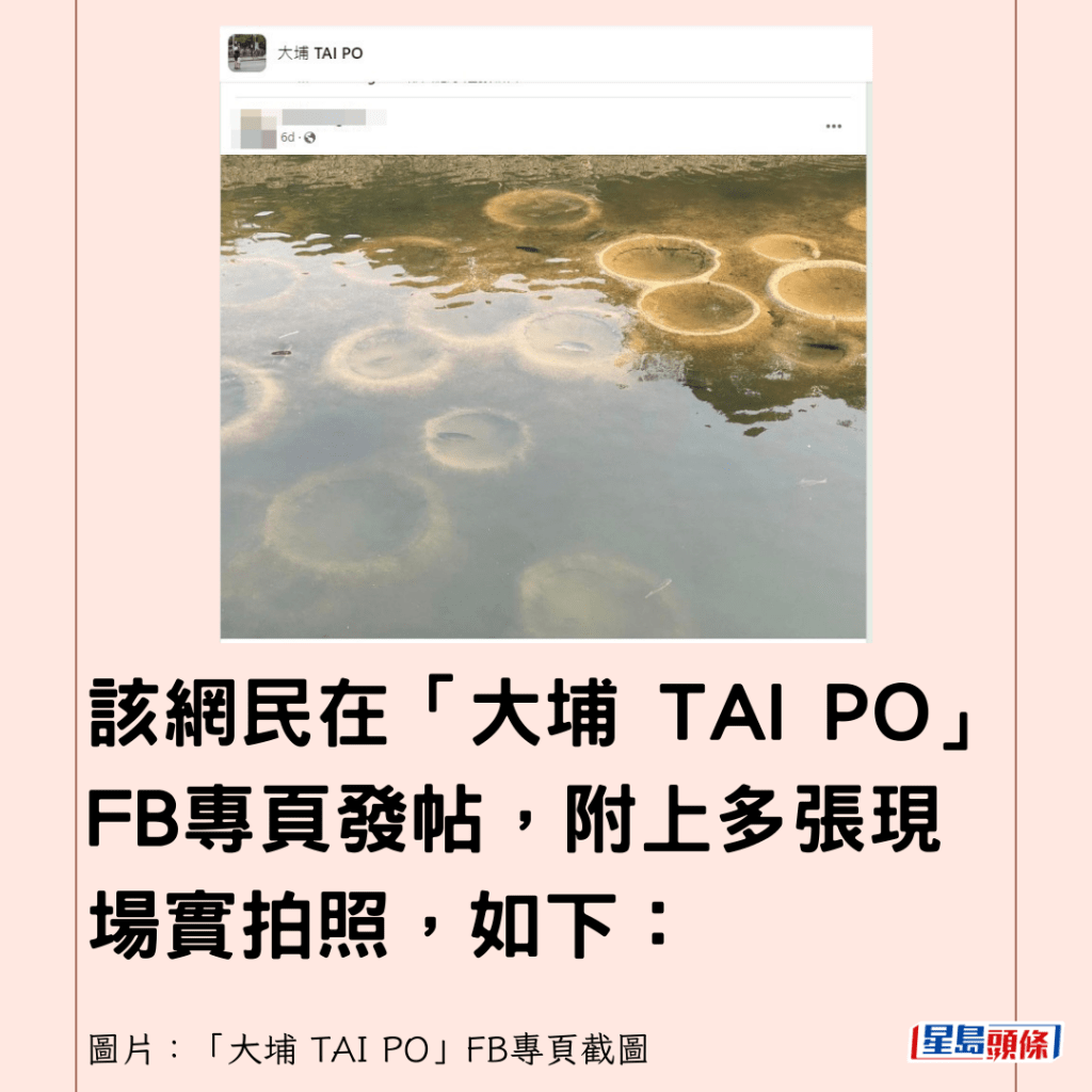 该网民在「大埔 TAI PO」FB专页发帖，附上多张现场实拍照，如下：