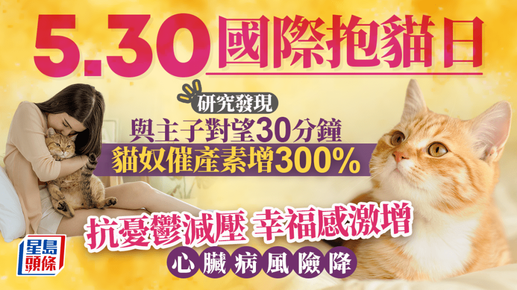 5.30國際抱貓日｜研究：貓奴心臟病風險低30% 與主子對望30分鐘、催產素激增300%