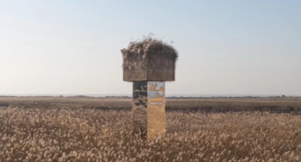 岳阳洞庭湖矗立逾10米镜柱,被质疑成为候鸟死亡陷阱。小红书 岳阳洞庭湖矗立逾10米镜柱,被质疑成为候鸟死亡陷阱。小红书