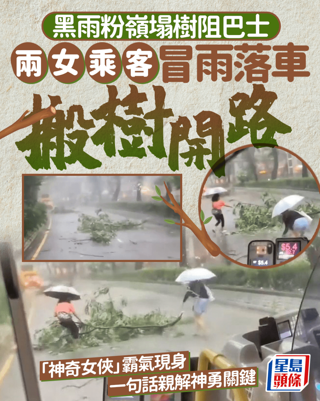 黑雨粉嶺塌樹阻巴士 兩女乘客冒雨落車搬樹開路 「神奇女俠」霸氣現身 一句話親解神勇關鍵|Juicy叮 黑雨粉嶺塌樹阻巴士 兩女乘客冒雨落車搬樹開路 「神奇女俠」霸氣現身 一句話親解神勇關鍵|Juicy叮