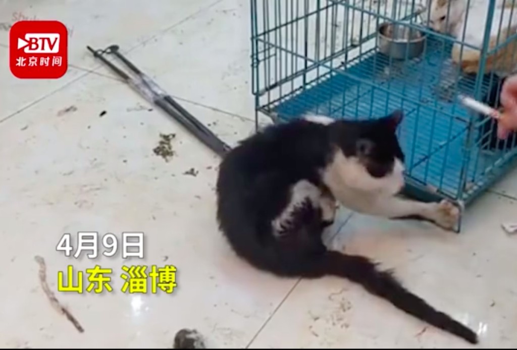網圖
