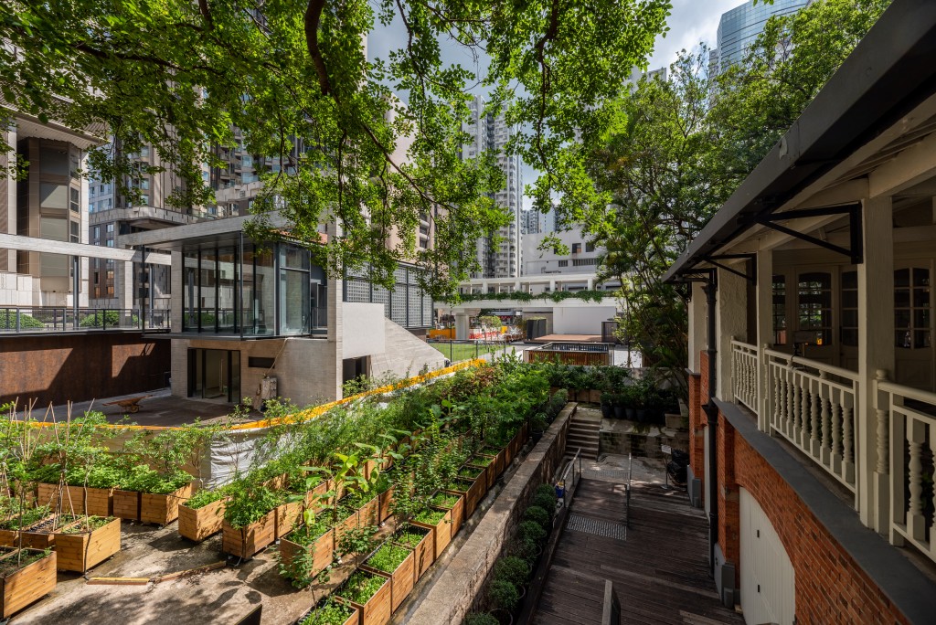 館內種植的果樹，不少都跟香港地名有關，讓人思考人、樹、地三者的共生關係。