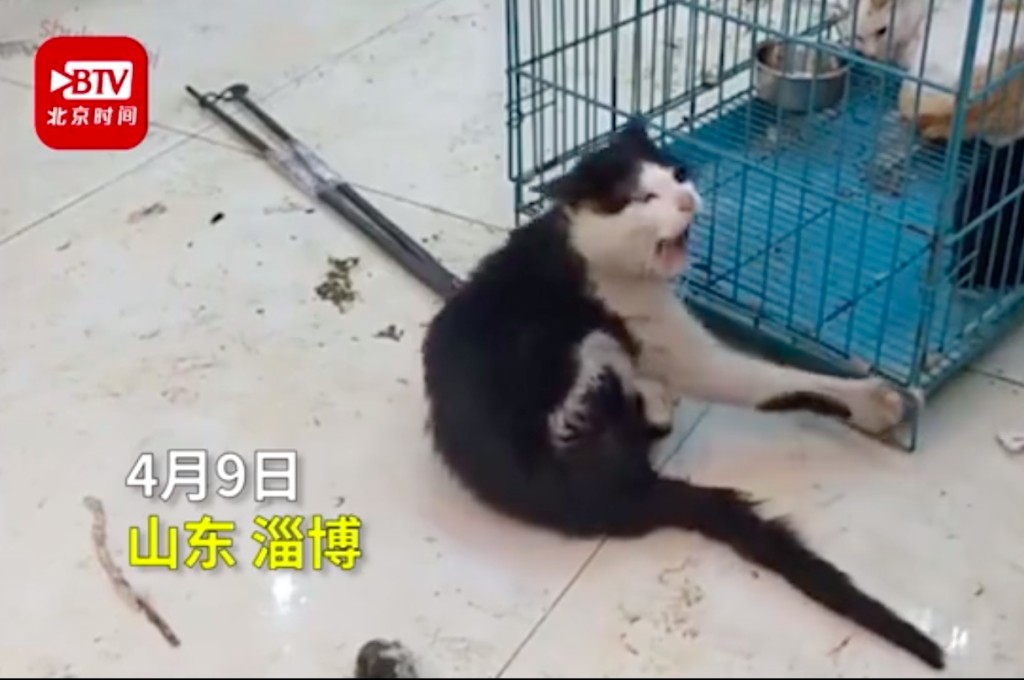 網圖