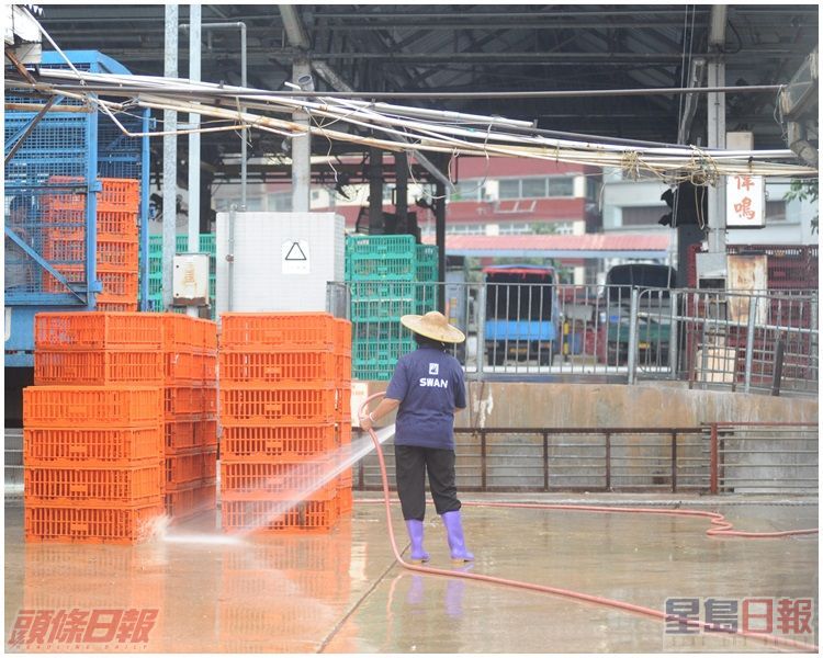 長沙灣家禽批發市場進行清洗。資料圖片