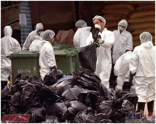政府展開殺雞行動。資料圖片