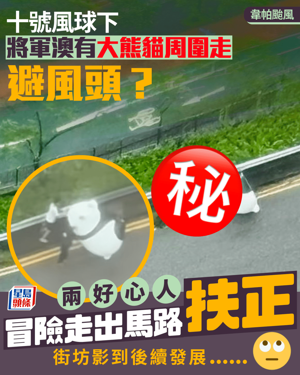 韋帕颱風｜十號風球下 將軍澳有大熊貓周圍走避風頭？ 好心人冒險扶正 街坊影到後續發展......
