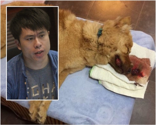 大埔早前發生懷疑毒狗案,遇害狗隻死狀可憐。小圖為鄺俊宇。