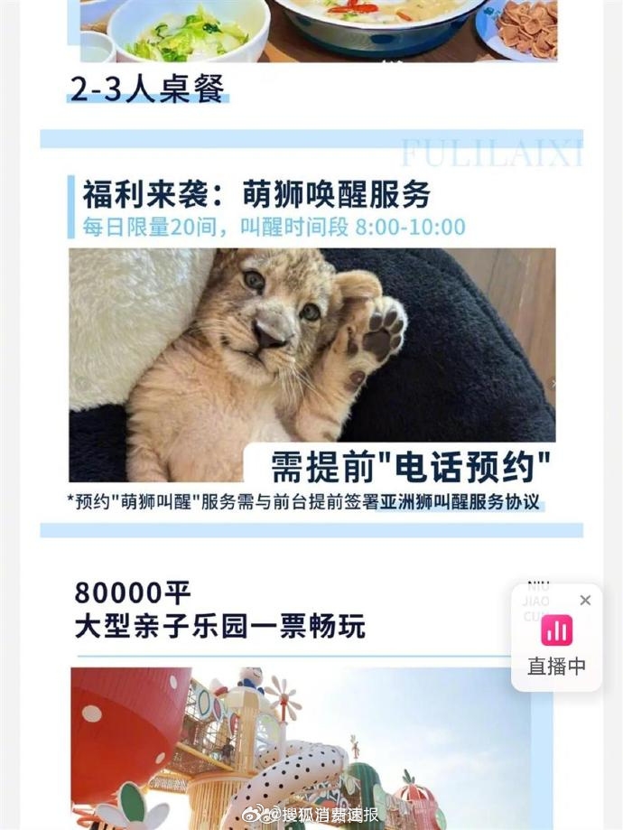 江蘇度假區推「幼獅叫醒服務」，¥628元一晚，未來兩周預約爆滿。