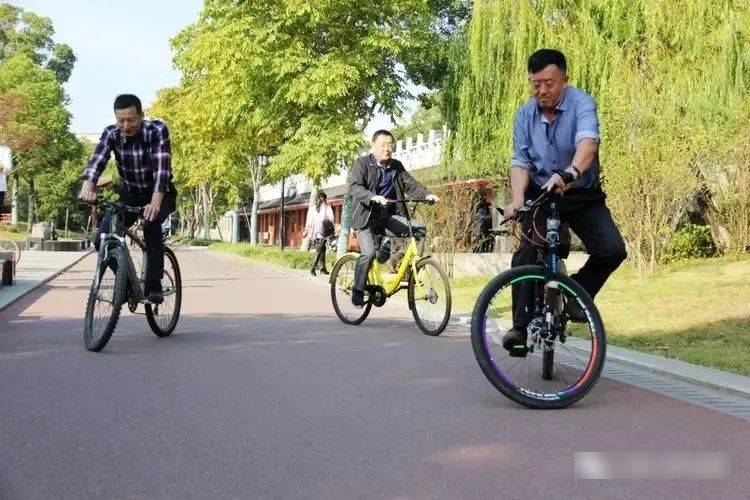 鳯凰單車緊隨時代潮流,不斷推出新款的單車。湃客@上海人家AB面 鳯凰單車緊隨時代潮流,不斷推出新款的單車。湃客@上海人家AB面