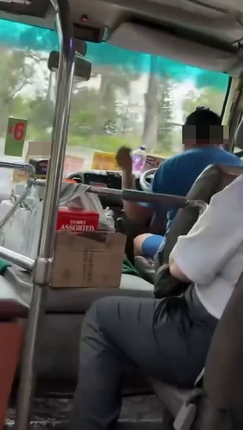 好奇的網民連忙查問「邊條線?」。fb「車cam L(香港群組)」截圖 好奇的網民連忙查問「邊條線?」。fb「車cam L(香港群組)」截圖
