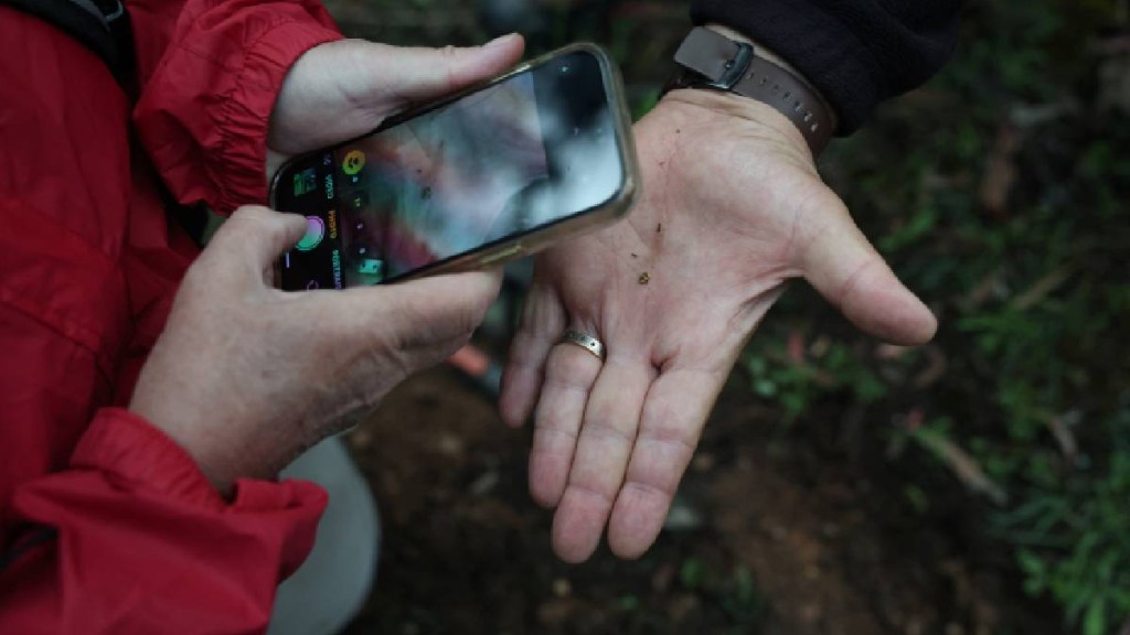 普蘭姆里奇几日前才買下探測器。路透社