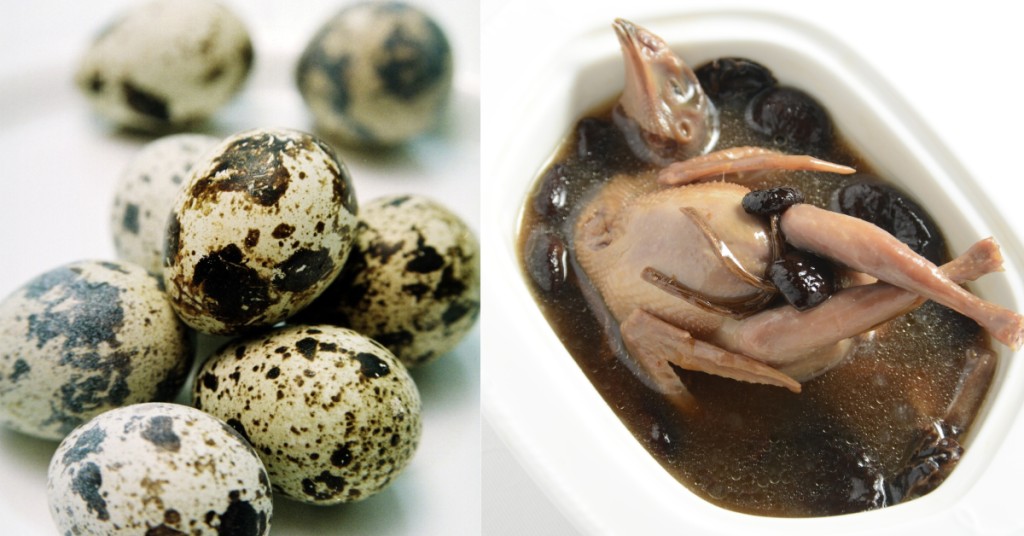 鹌鹑的肉和蛋不仅食用营养价值很高， 药用价值也很高。资料图片