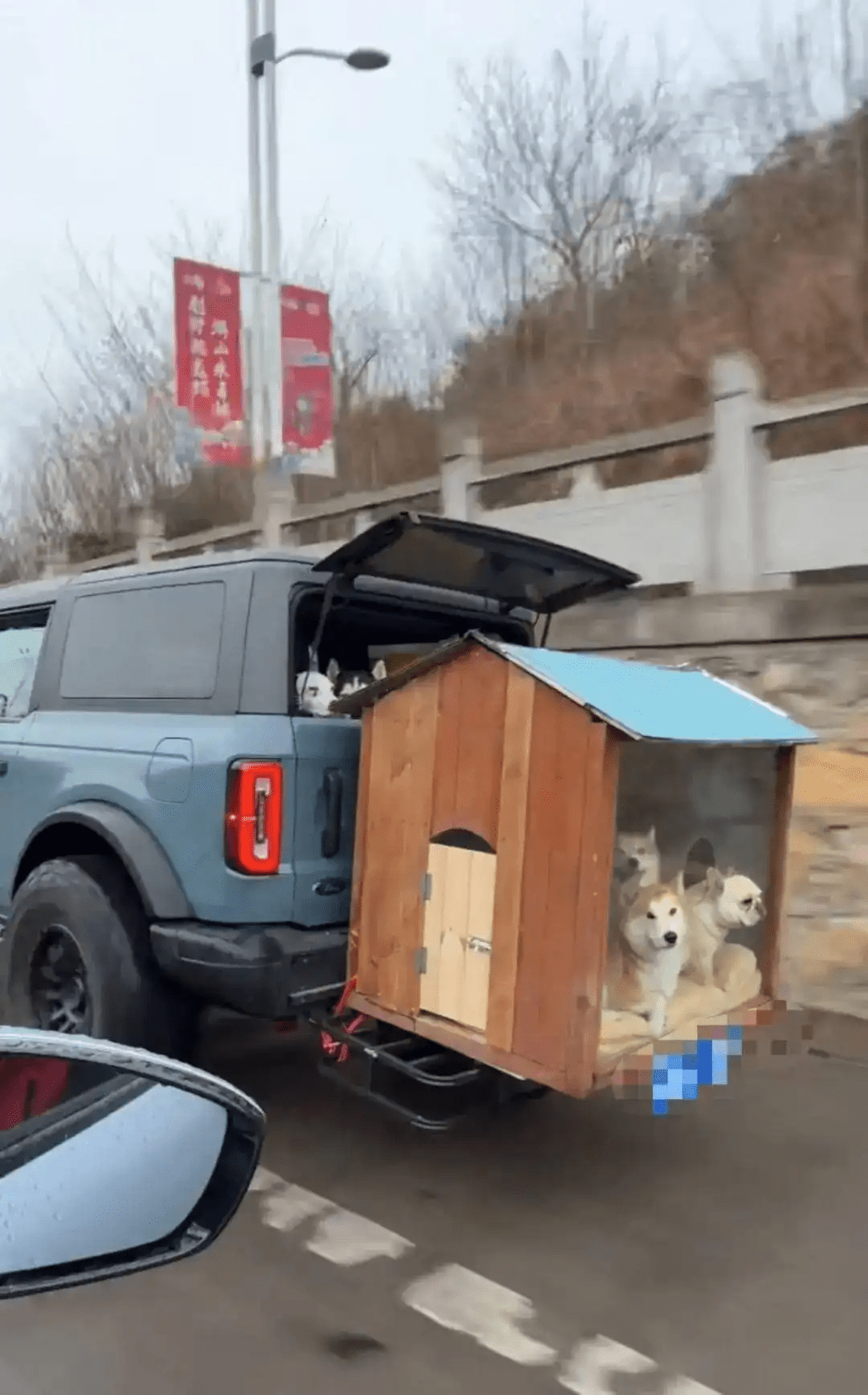 異地打工仔回鄉，爆改越野車帶9隻狗一同起行。 