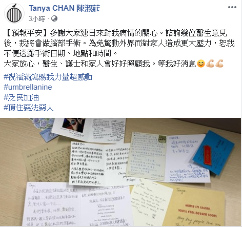 陳淑莊facebook圖