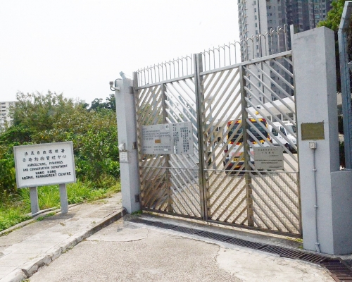 漁護署建議,動物管理中心將不再接收被主人棄養的動物。資料圖片