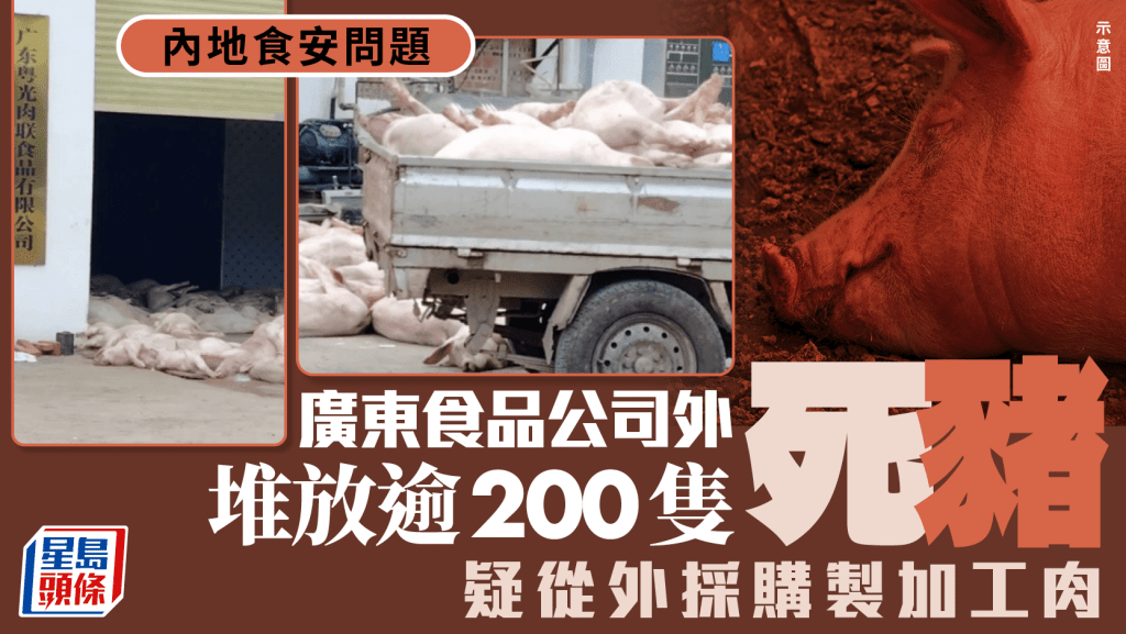 廣東公司逾200死豬曬太陽  疑製加工食品警扣查7人