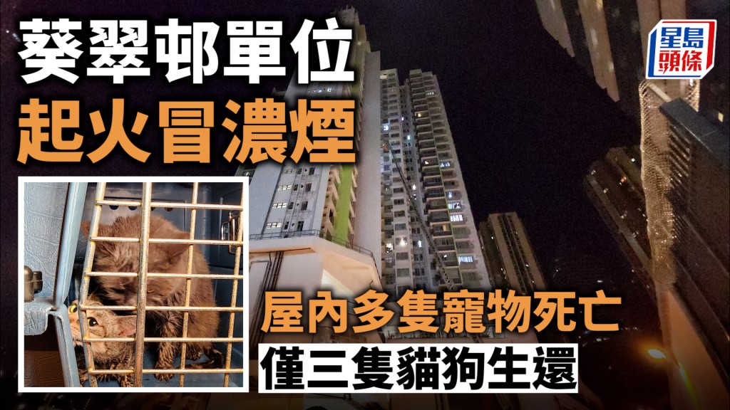 葵翠邨單位冒濃煙 消防開喉撲救 屋內多隻寵物死亡
