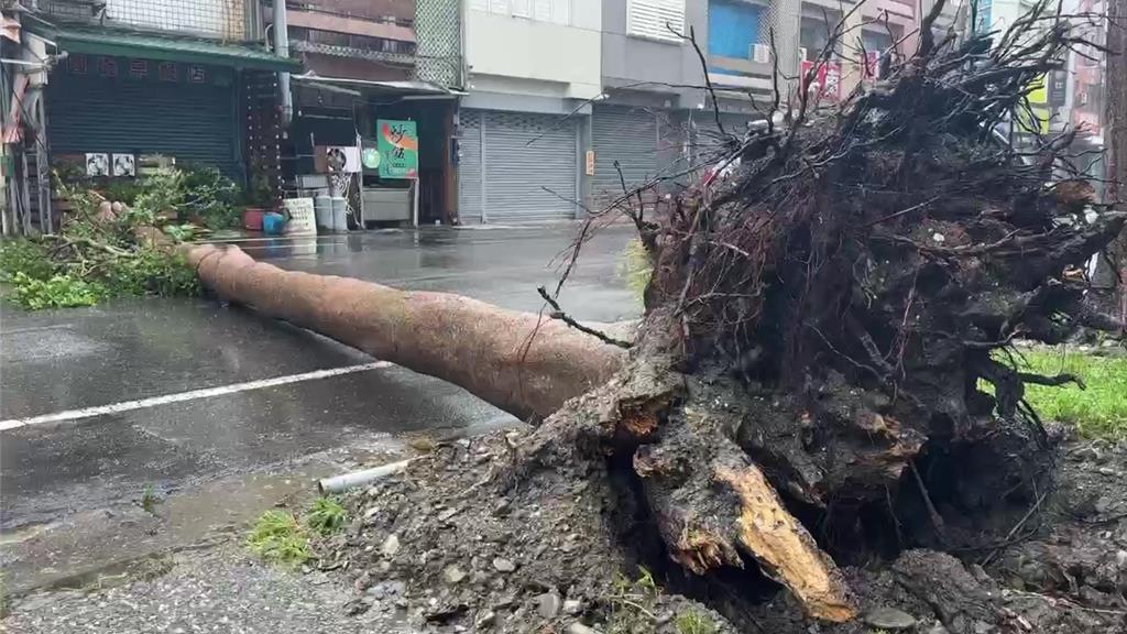 颱風楊柳在台灣造成廣泛破壞。中時