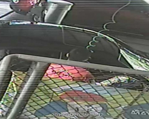 閉路電視畫面證實女童父親拿噴槍伸進車內。網圖