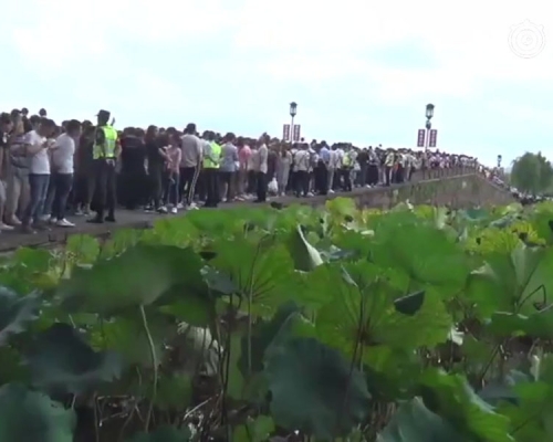 國慶西湖斷橋變人橋，遊客稱WiFi被擠斷。（網圖）
