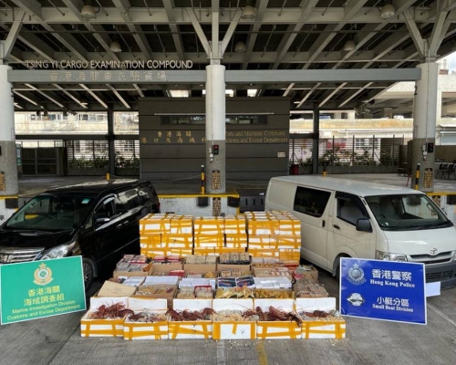 水警及海關於稔灣路展開反走私行動。警方圖片