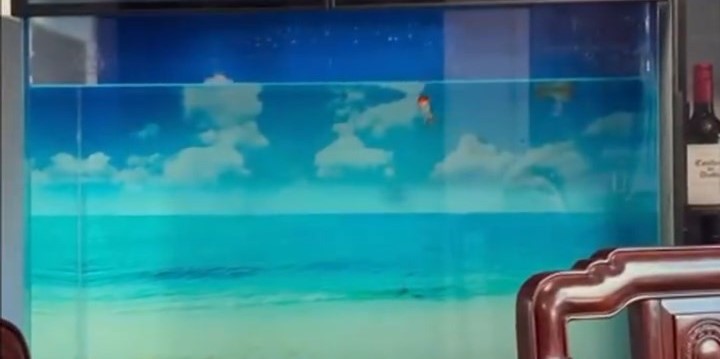 魚缸水亦晃動。 魚缸水亦晃動。