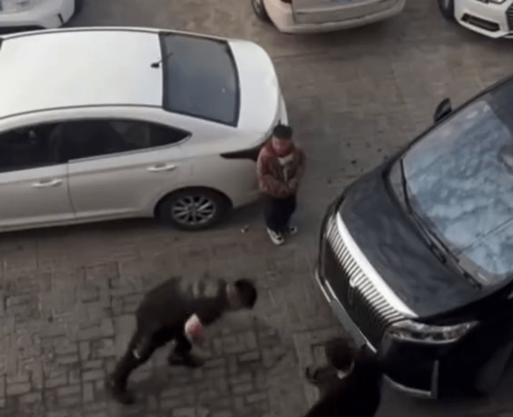 河南汉多次倒地后再来以头撼对方车头。