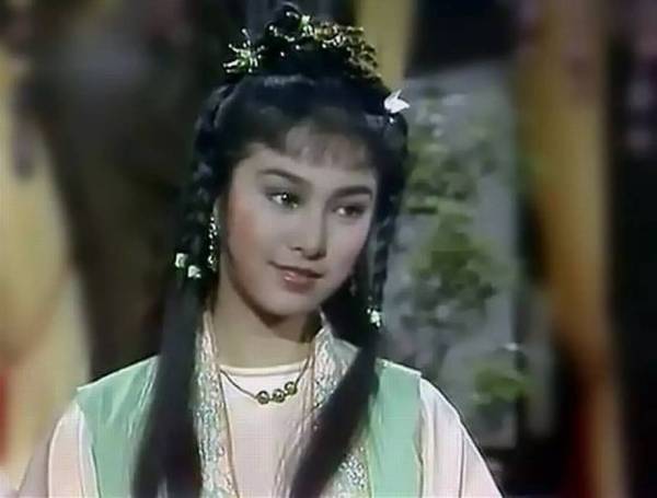 1976年，米雪分別於佳視劇《射鵰英雄傳》及《神鵰俠侶》飾演黃蓉。