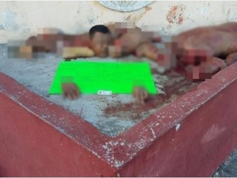 一张绿色纸板上写著这人是性侵犯、抢劫积犯。(互联网图片)