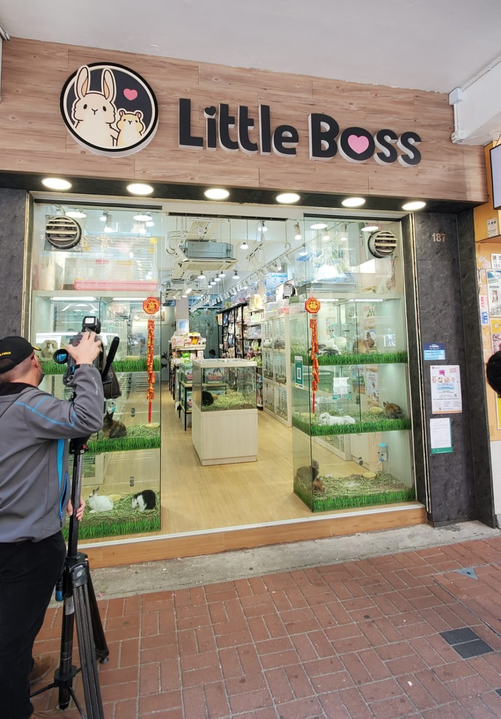旺角通菜街187号 Little Boss店重开，但未售卖仓鼠。