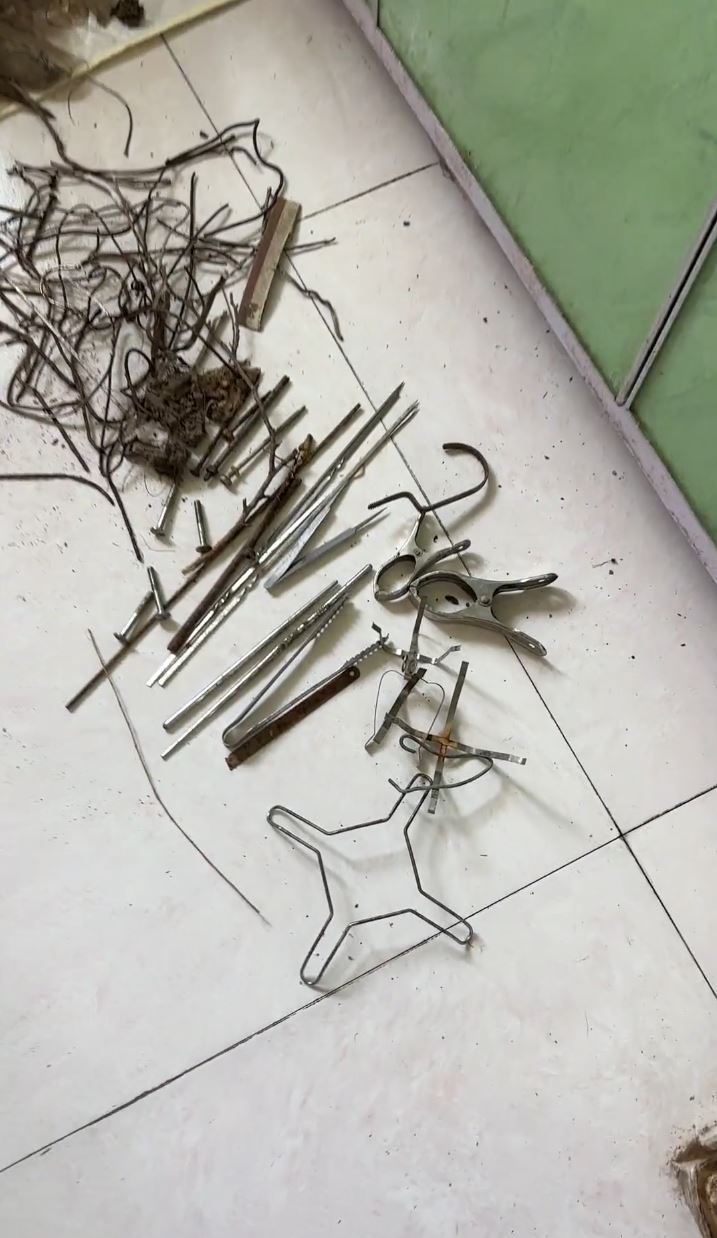 山东有民众有拆走喜鹊的鸟巢，遭封窗大报复。