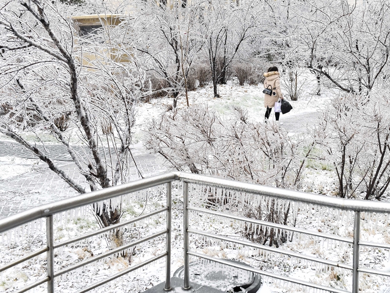 長春下雪情況。新華社圖片