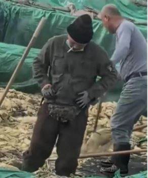 影片顯示工人在酸菜池內隨意吐痰及吸煙。