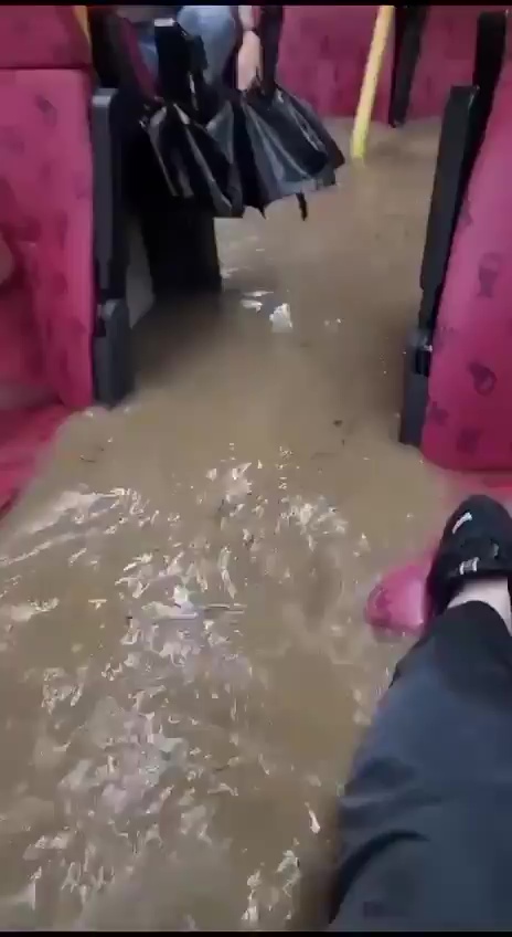 网上流传一段巴士车厢水浸短片。网上截图