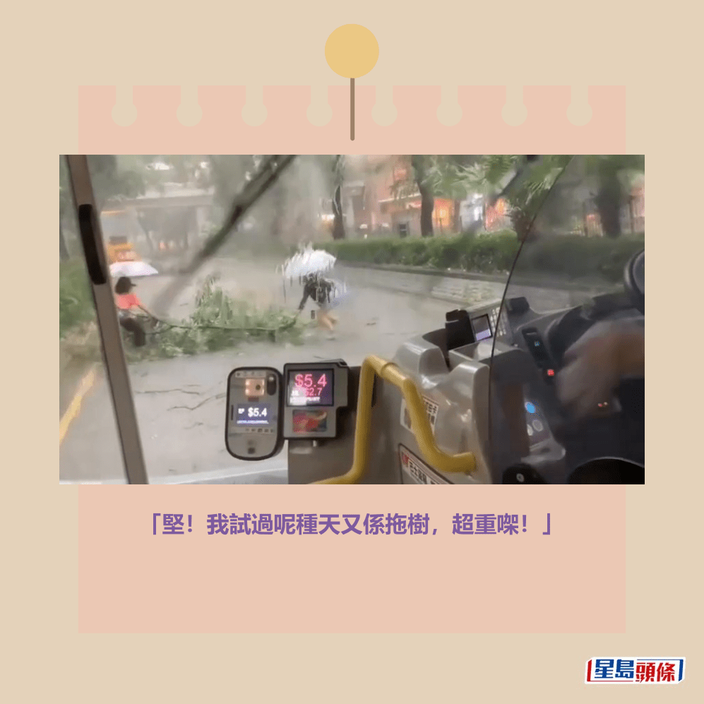 Threads截圖(資料來源:matt_cheng910@Threads) Threads截圖(資料來源:matt_cheng910@Threads)