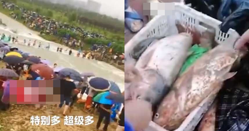 現捉現買。網圖