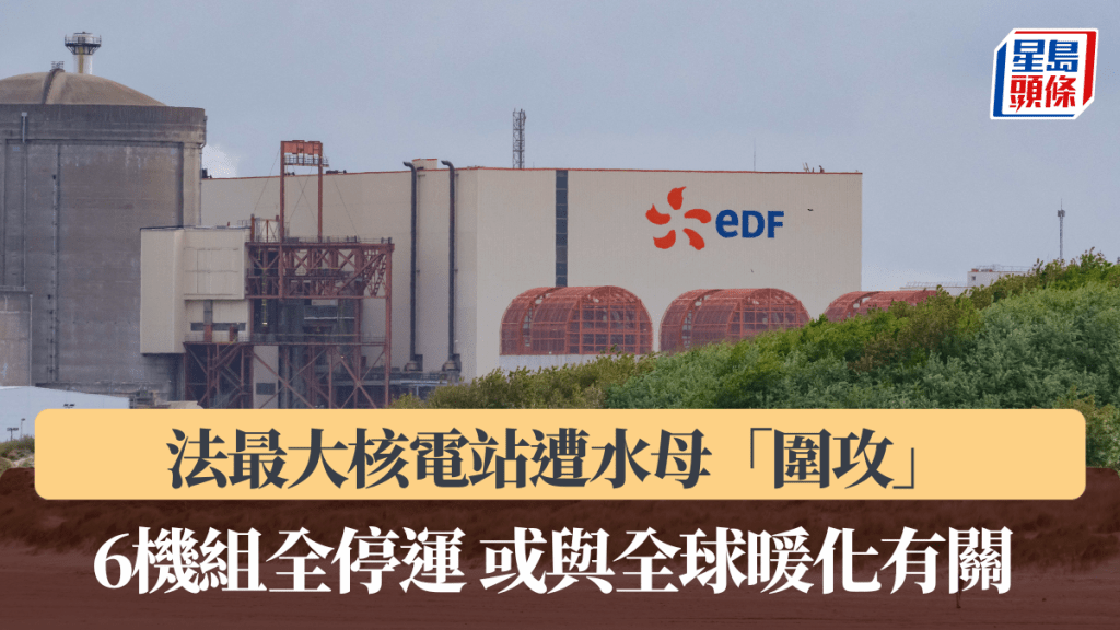 法最大核電站遭水母「圍攻」 6機組全停運 專家指或與全球暖化有關