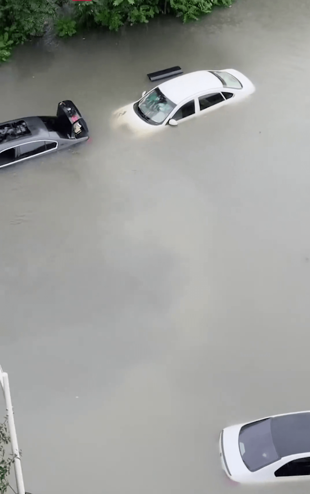 暴雨下，沈阳路面水淹汽车。