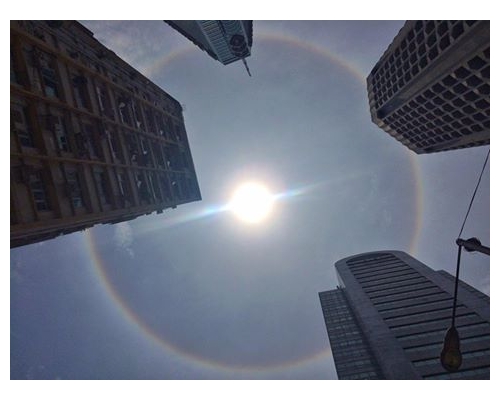 網友指是第一次看見。Felix Ip‎ ／香港行山遠足之友