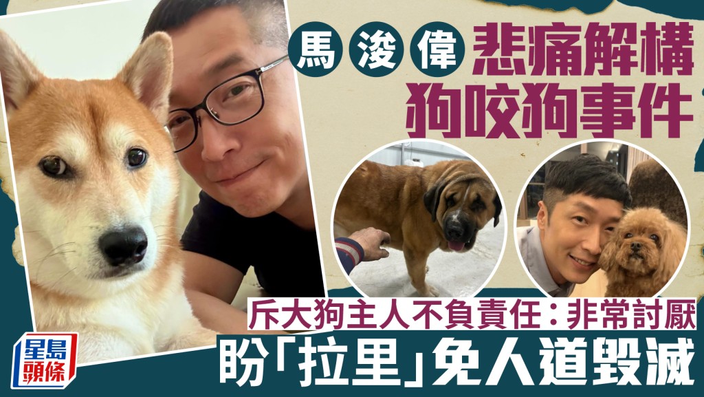馬浚偉悲痛解構狗咬狗事件  斥大狗主人不負責任：非常討厭  盼「拉里」免人道毀滅