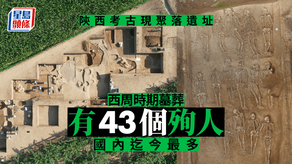 陝西現聚落遺址西周墓葬有43個殉人！國內迄今最多