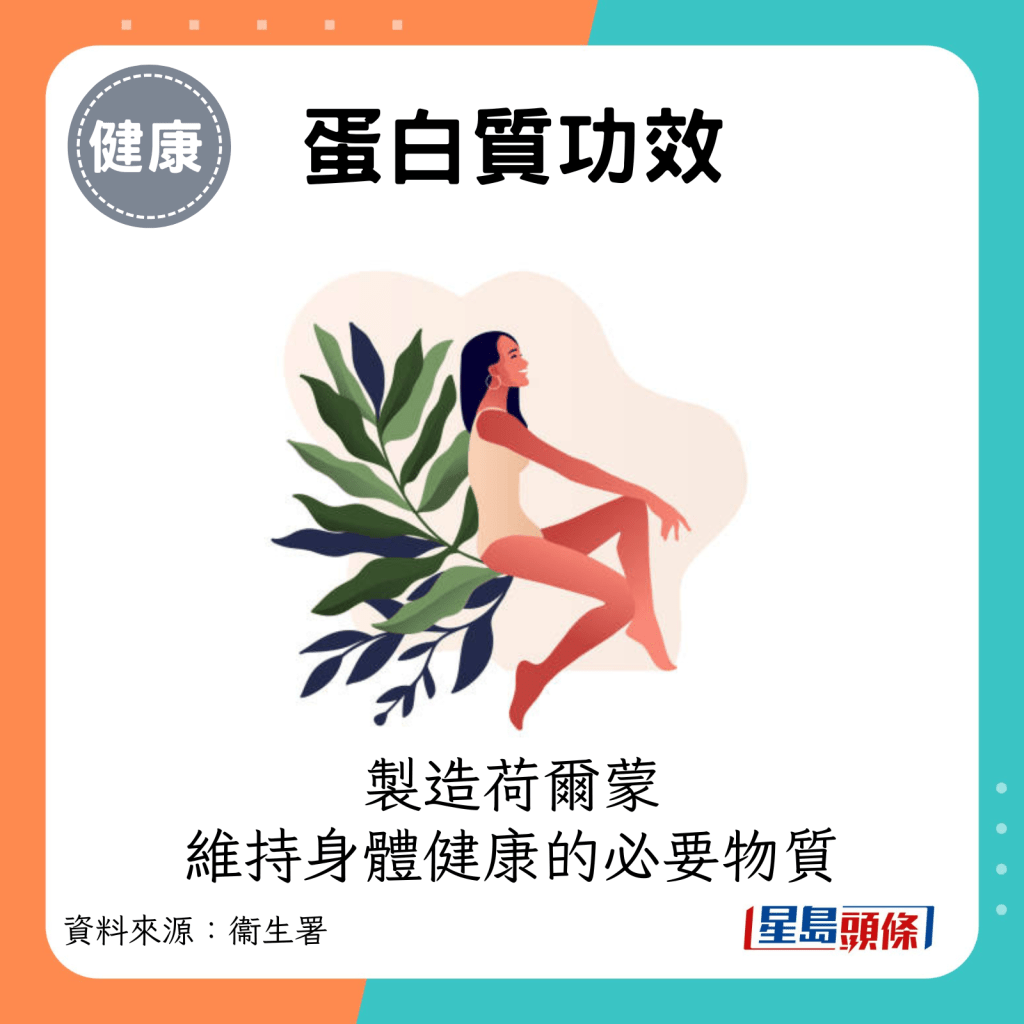 蛋白質是製造荷爾蒙以維持身體健康的必要物質