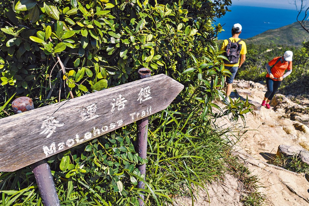 16歲少年企圖跨越山嶺返家，結果於麥理浩徑迷途報警求助。 